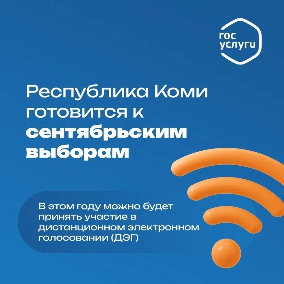Выборы.