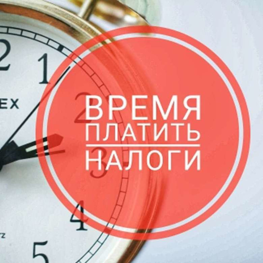 Управление налоговой службы информирует.